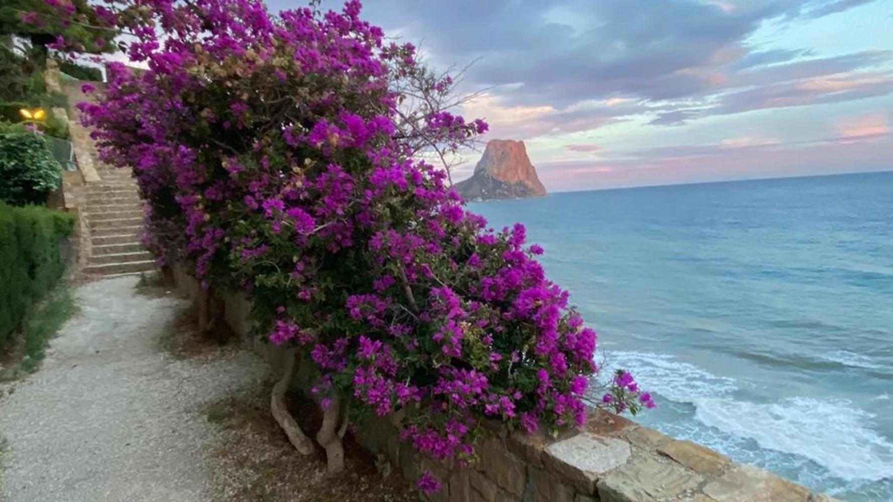 Timora Sea View New Apart' Hipocampos Calp Dış mekan fotoğraf