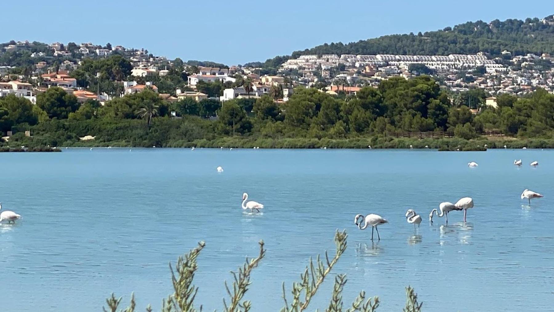 Timora Sea View New Apart' Hipocampos Calp Dış mekan fotoğraf