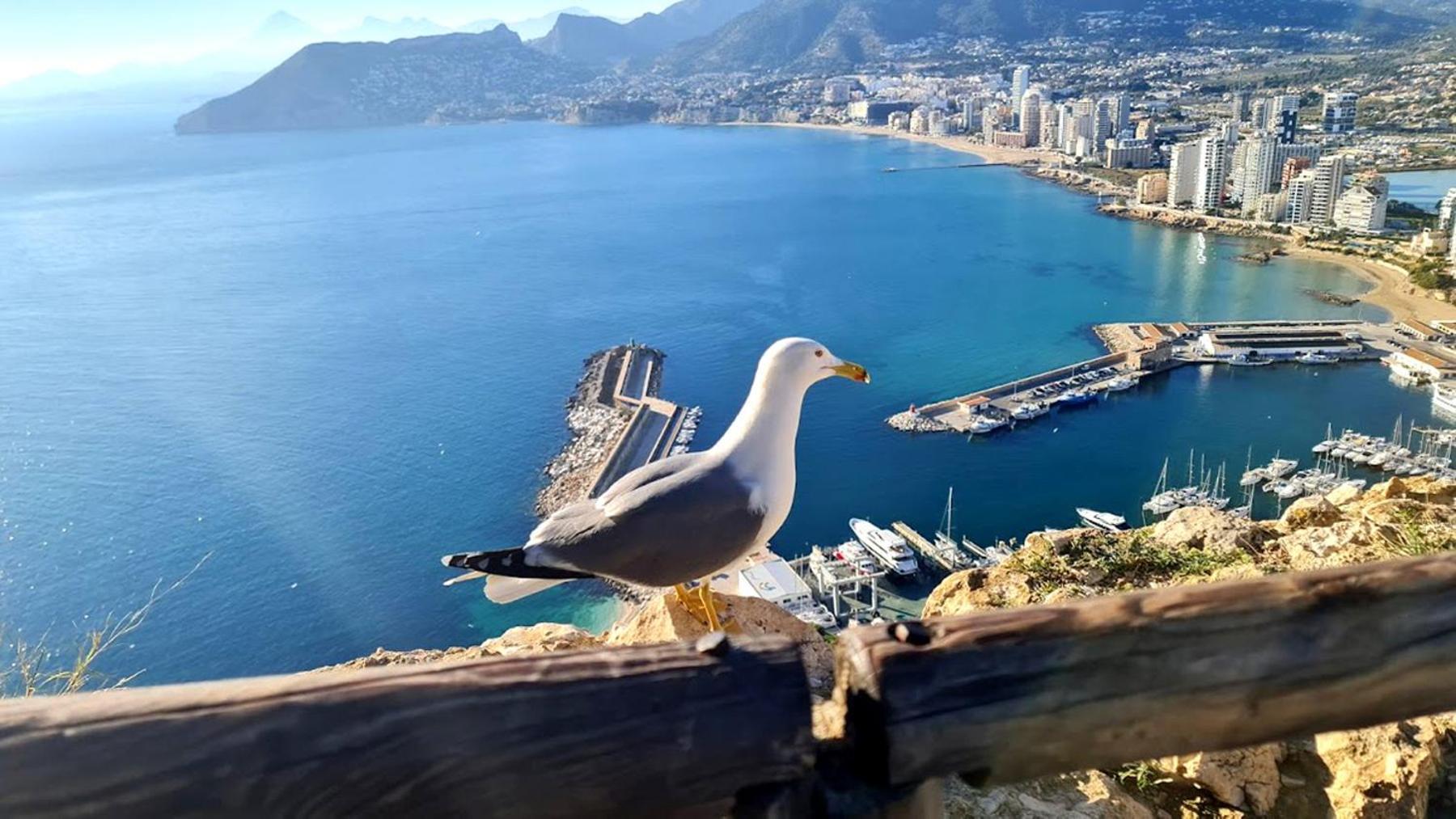 Timora Sea View New Apart' Hipocampos Calp Dış mekan fotoğraf